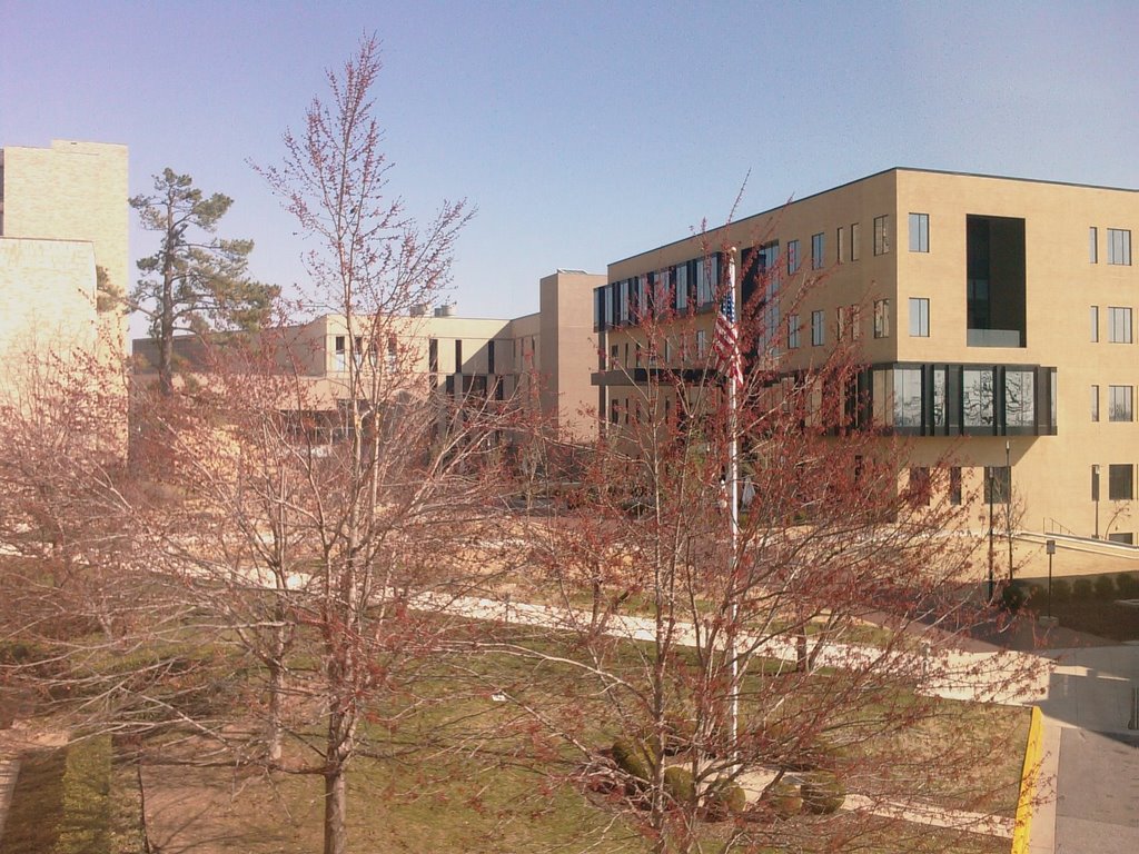 Walton College mini-campus in spring, Фейеттевилл