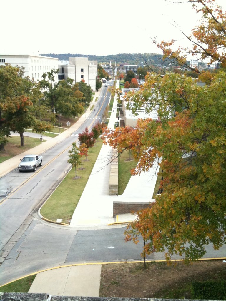 Dickson Street (University of Arkansas), Фейеттевилл