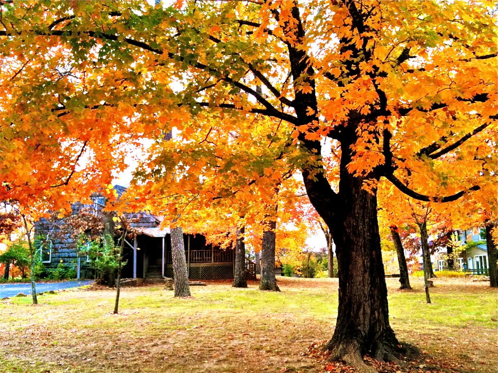 Fall in Fayetteville, Фейеттевилл