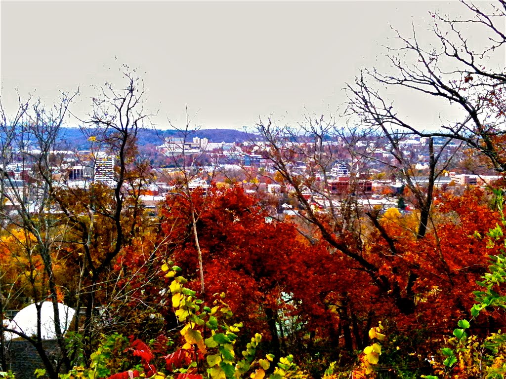 Beautiful Fayetteville in the Fall, Фейеттевилл