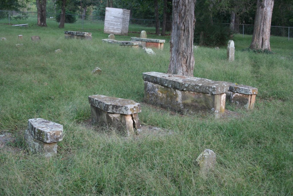 Reese Cemetery, Элкинс