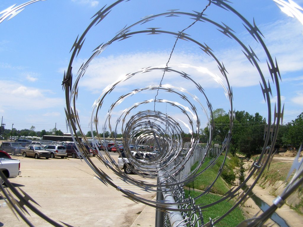 Barb Wire at LSU medical center, Эмерсон