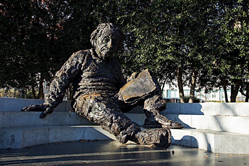 Tượng nhà vật-lý học Albert Einstein  (Albert Einstein Memorial), Алдервуд-Манор