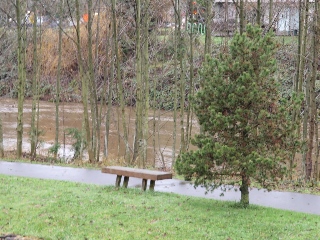 Almost flooding river, Ботелл