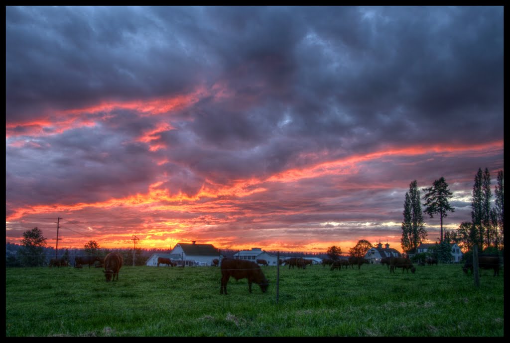 Farm Sunset, Ботелл