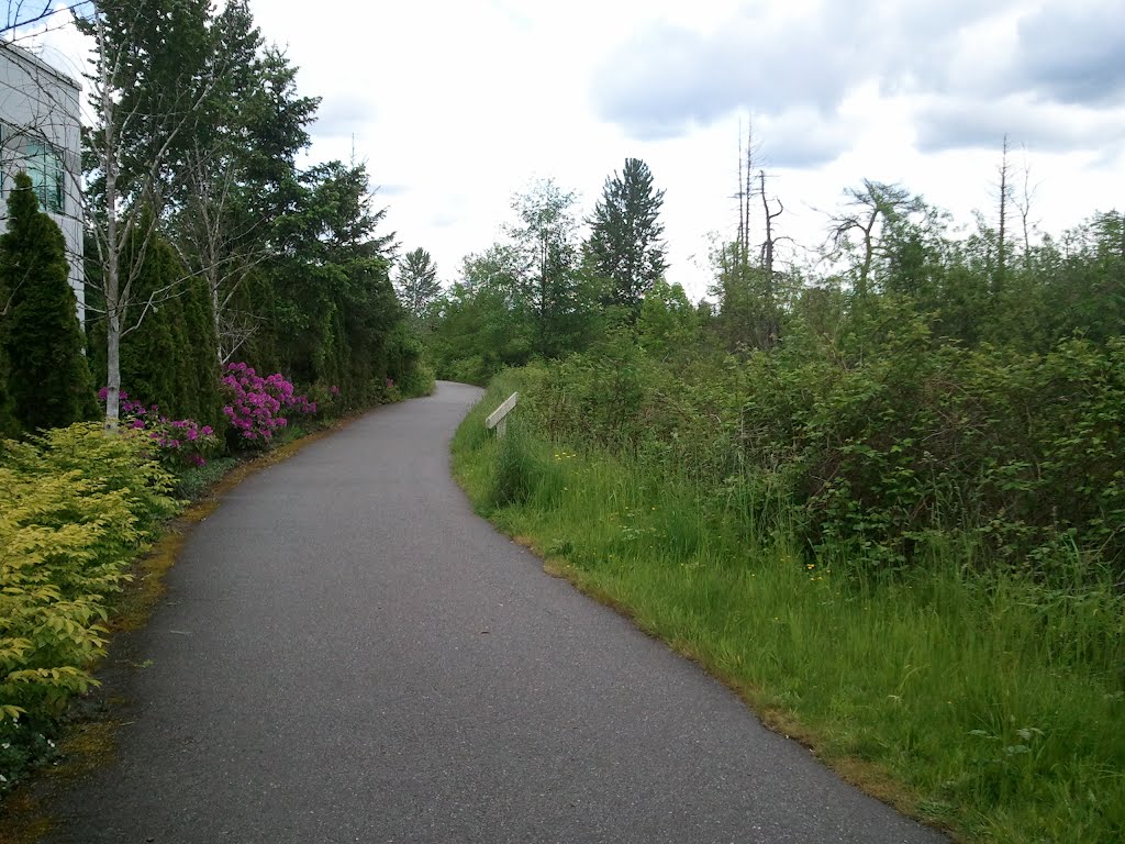 Flowers along the trail, Ботелл
