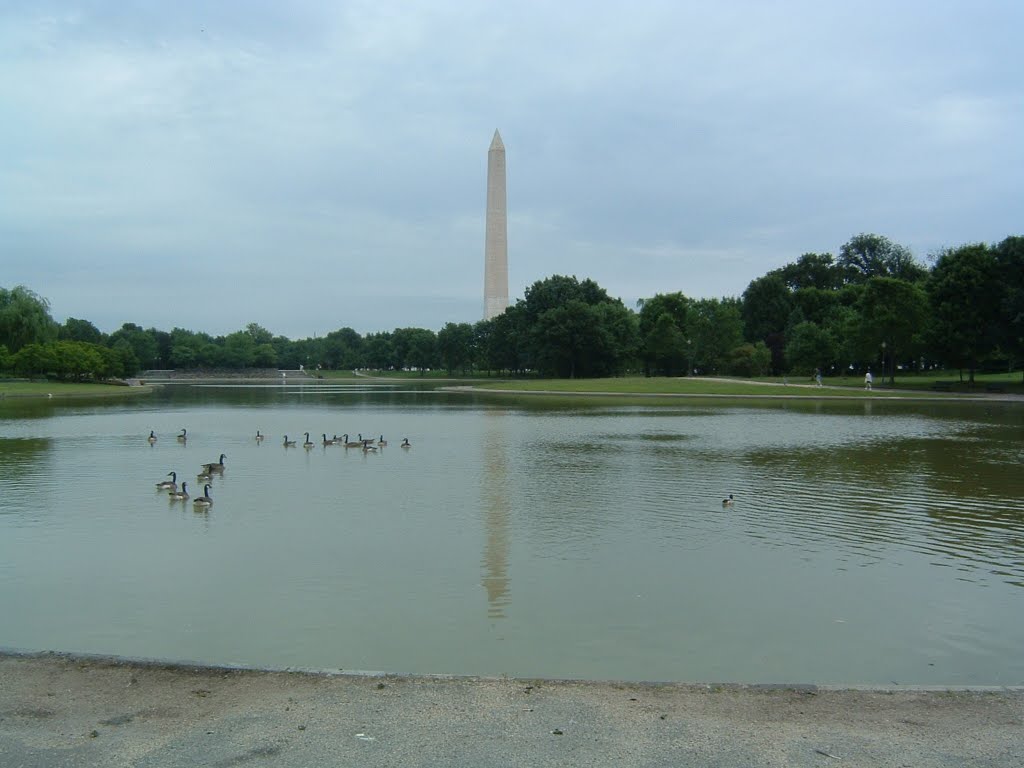 小鸭和高耸的华盛顿纪念碑, Бревстер