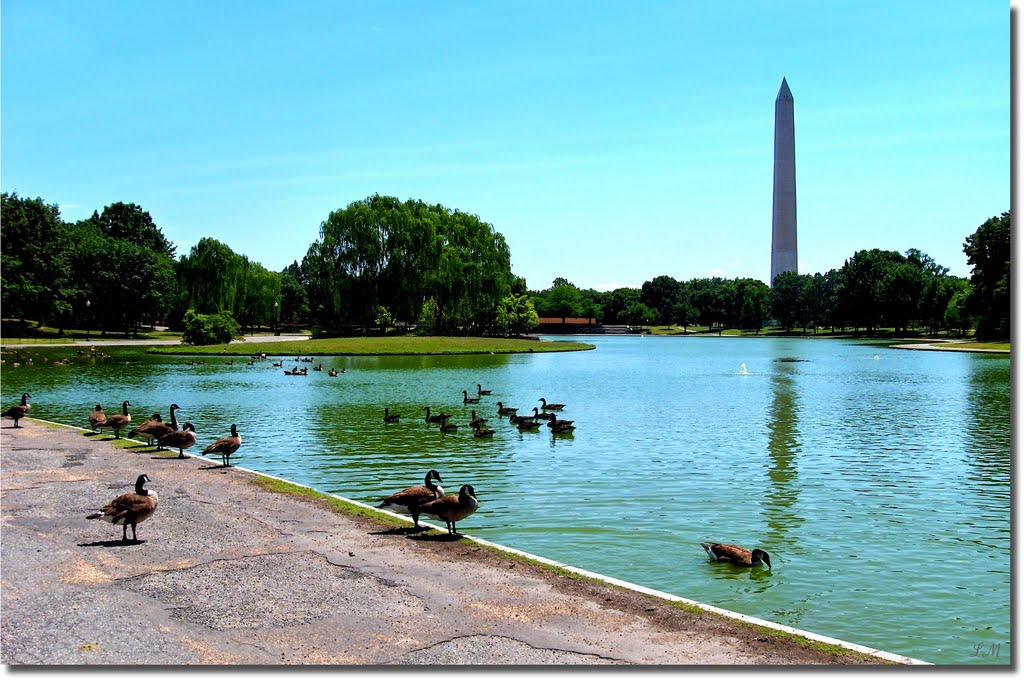 Washington Monument and Constitution Gardens Pond, Брин-Мавр
