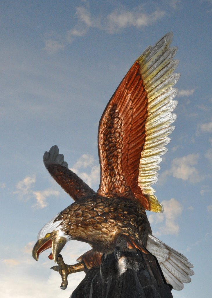 Eagle on Argonne, Spokane Valley, WA, Дишман