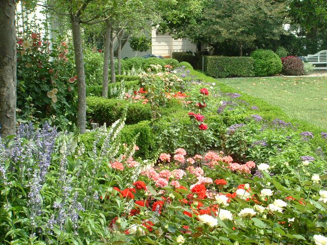 Rose Garden of White House, Дюпонт
