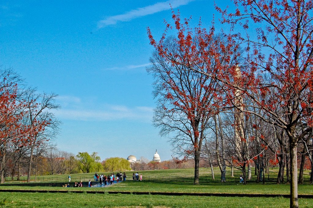 Sunday in Washington, Женева