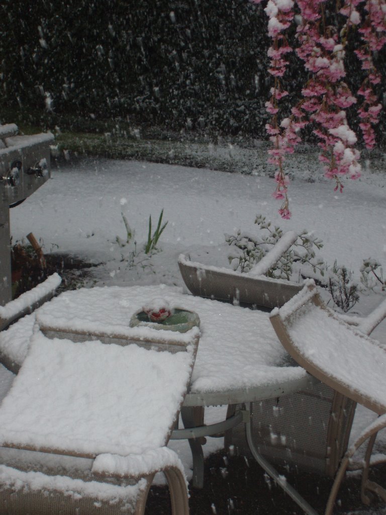 snow in april 2008, Интерсити