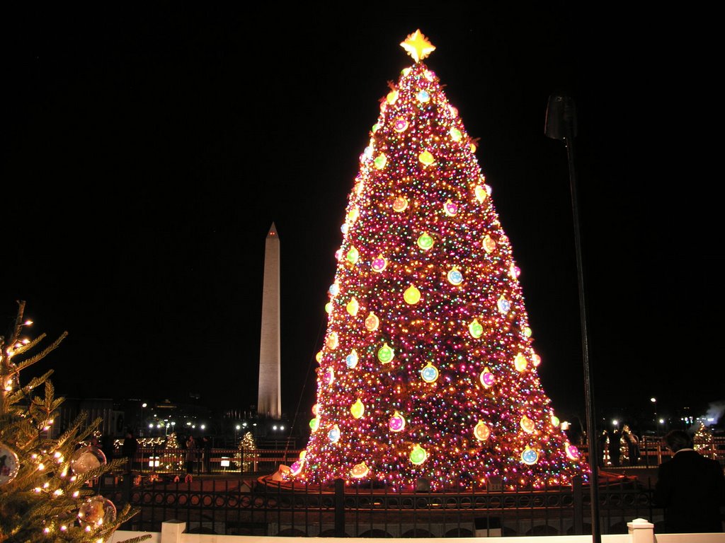 Big Christmas Tree, Ист-Венатчи-Бенч