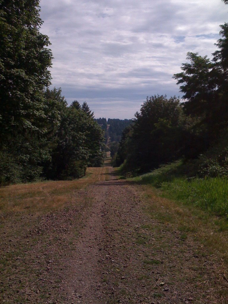 Tolt Pipeline Trail, looking east, Кингсгейт