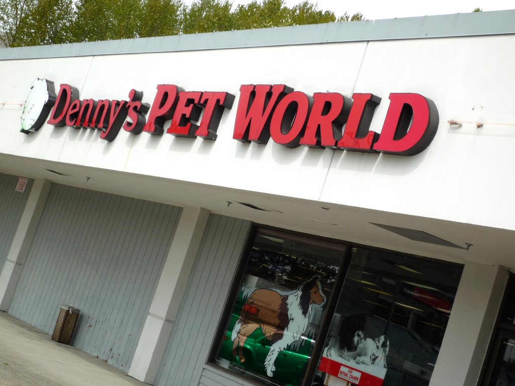 Dennys Pet World, Кингсгейт