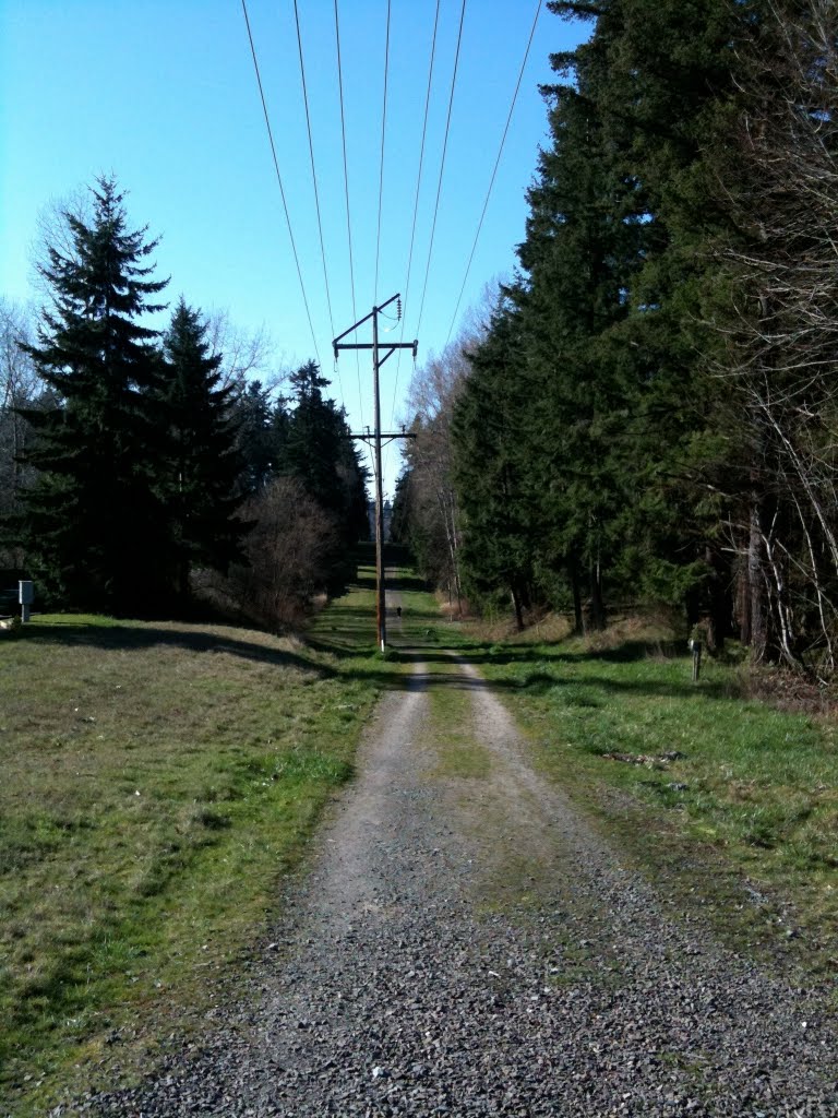 On the Tolt Pipeline Trail in Bothell, Кингсгейт