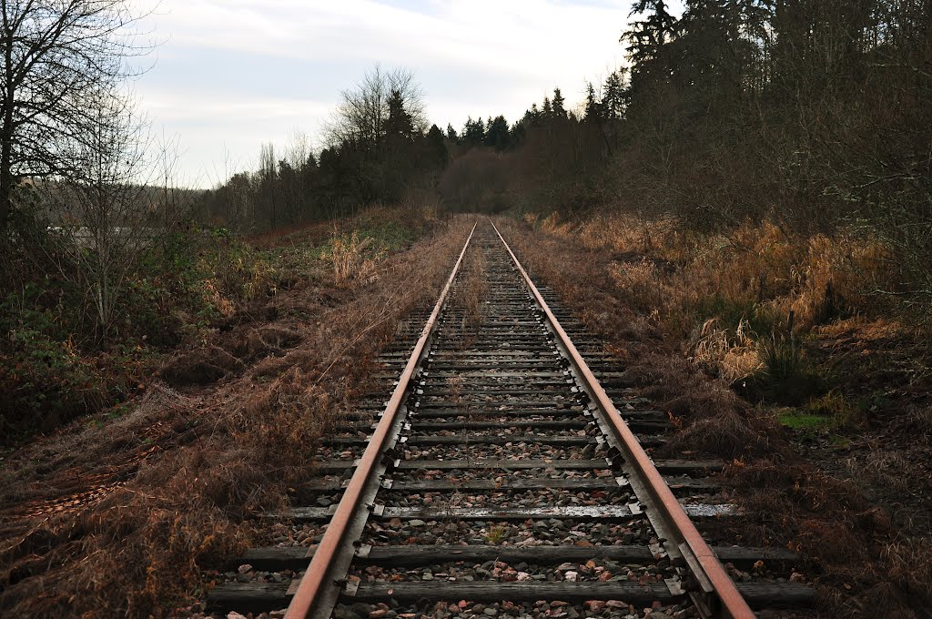 BNSF Abandoned Track, Кингсгейт