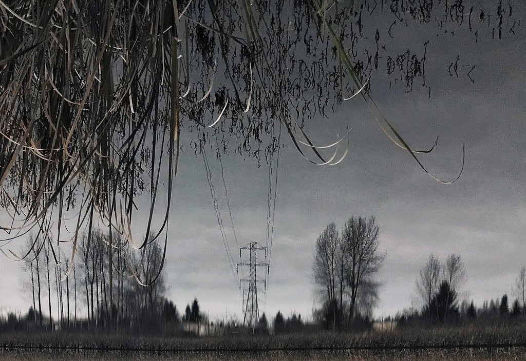 Totem Lake Flipped Power Line Reflection. Kirkland, Washington, Кингсгейт