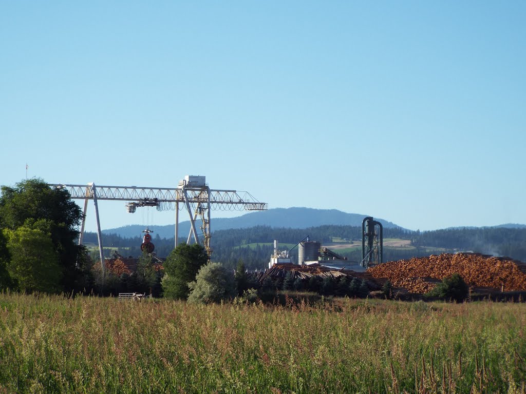 Colville lumber mill, Колвилл