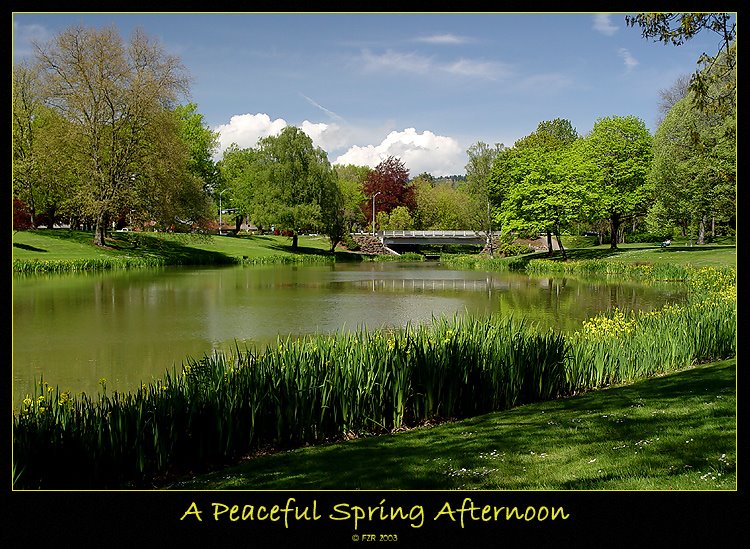 Peaceful Spring Afternoon, Лонгвью