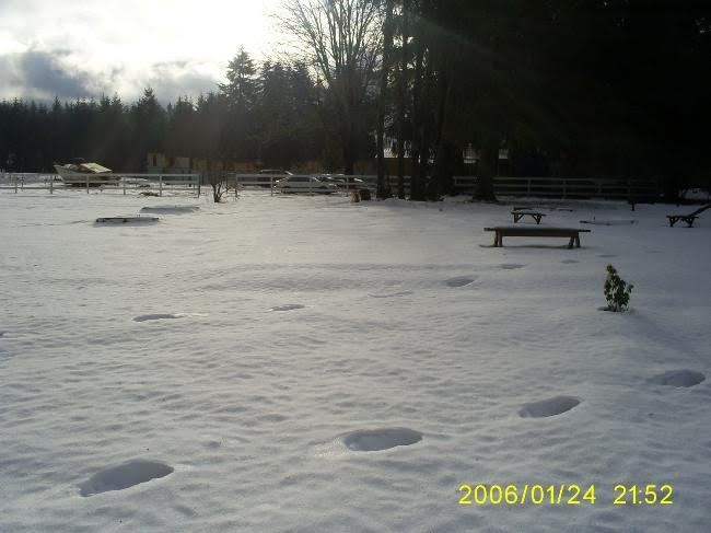 Traces on the snow,..Longview Wa,USA., Лонгвью