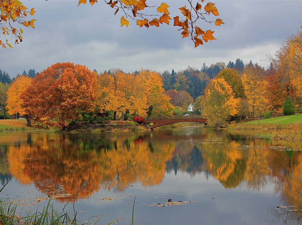 Autumn Foliage, Лонгвью