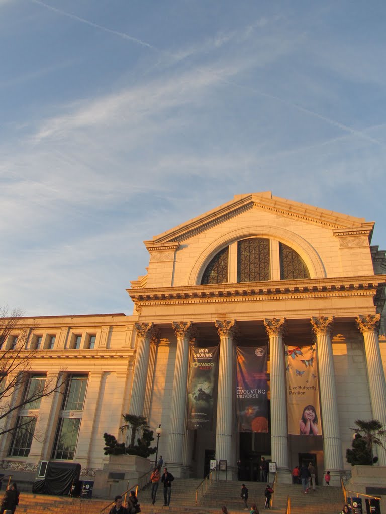 Smithsonian National Museum of Natural History, Паркланд