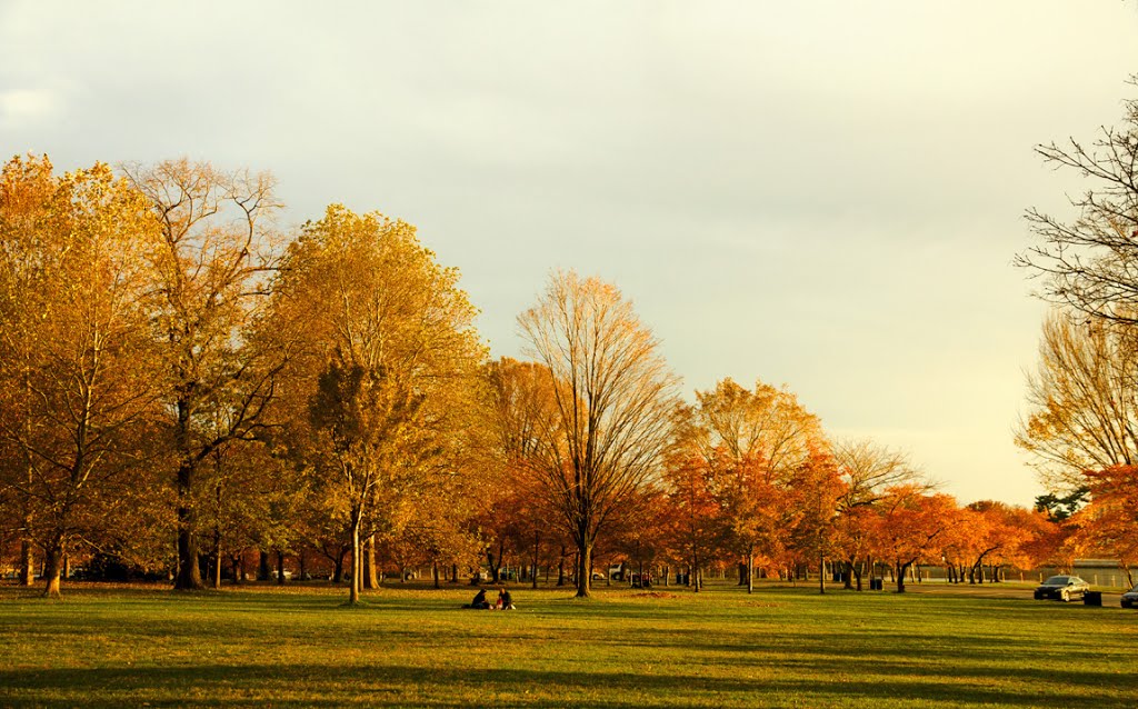 Cảnh Thu  (Autumn view), Паркланд