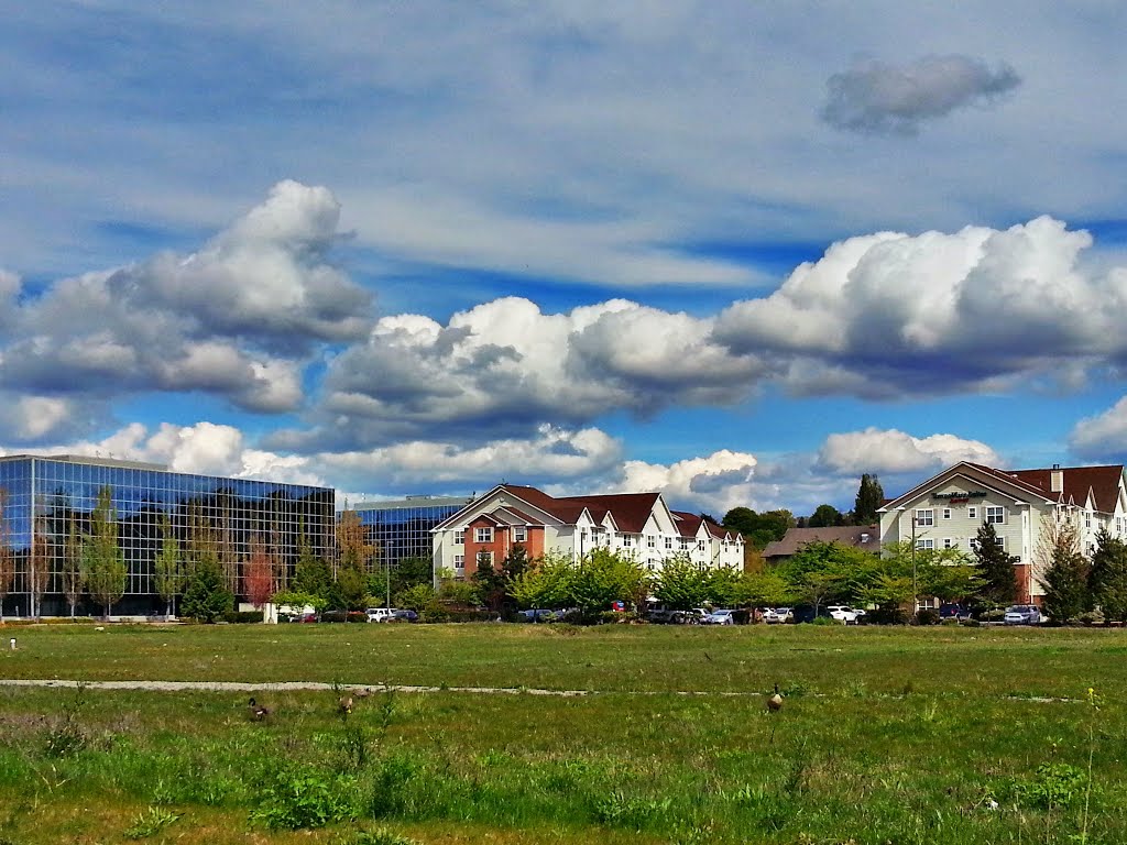 Marriott TownPlace Suites in Renton, view from Lind Ave SW, Рентон