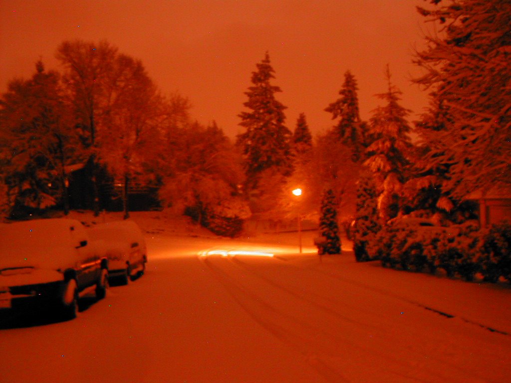 snowy winter 2007, Рентон
