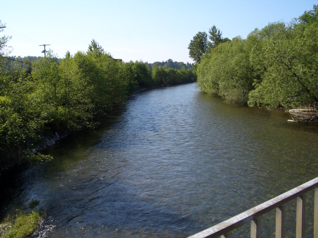 Cedar River near Lake Washington, Рентон