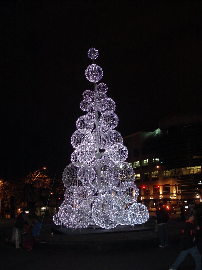Christmas tree in vicinity of SPACE NEEDLE of SEATTLE., Сиэттл