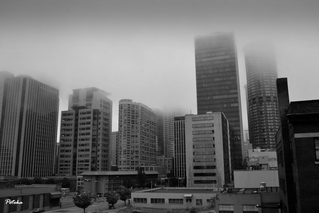 Seattle entre la niebla, Сиэттл