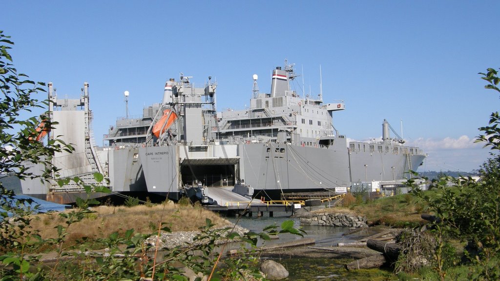 SS Cape Intrepid (T-AKR 11) moored at Tacoma, with SS Cape Island beside, Такома