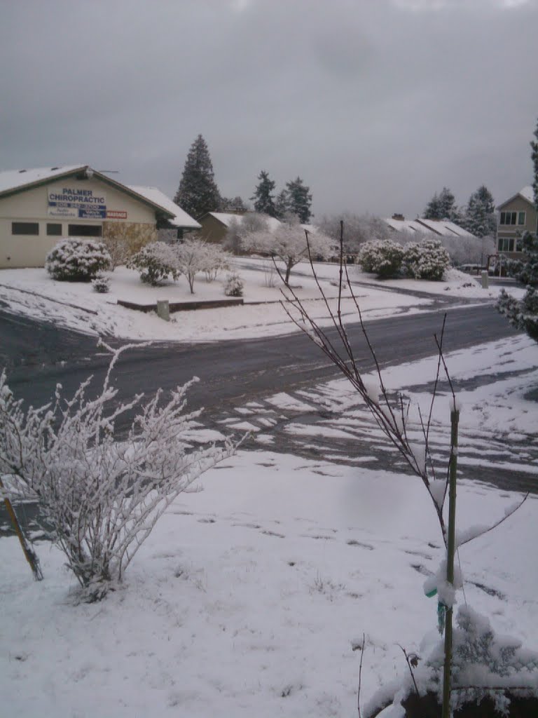 Snow In West Seattle, Уайт-Сентер