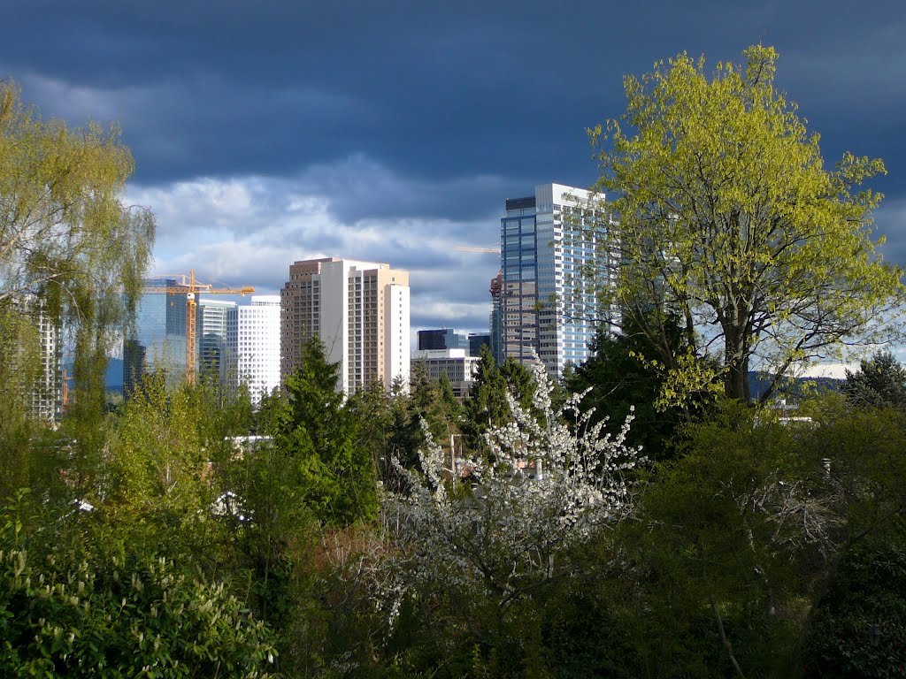 Bellevue WA, Downtown from Manor Hill, Хантс-Пойнт