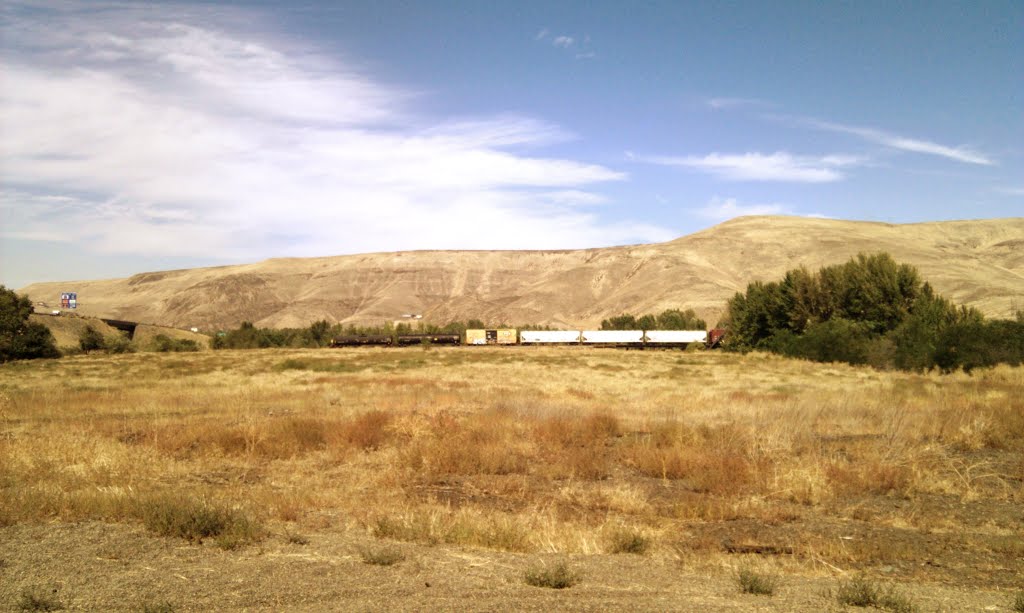Looking north from the wooden play area on the Yakima Greenway as a train passes by, Якима