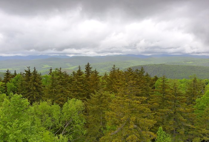 Vermont Forest from Allis State Park Firetower, Миддлбури