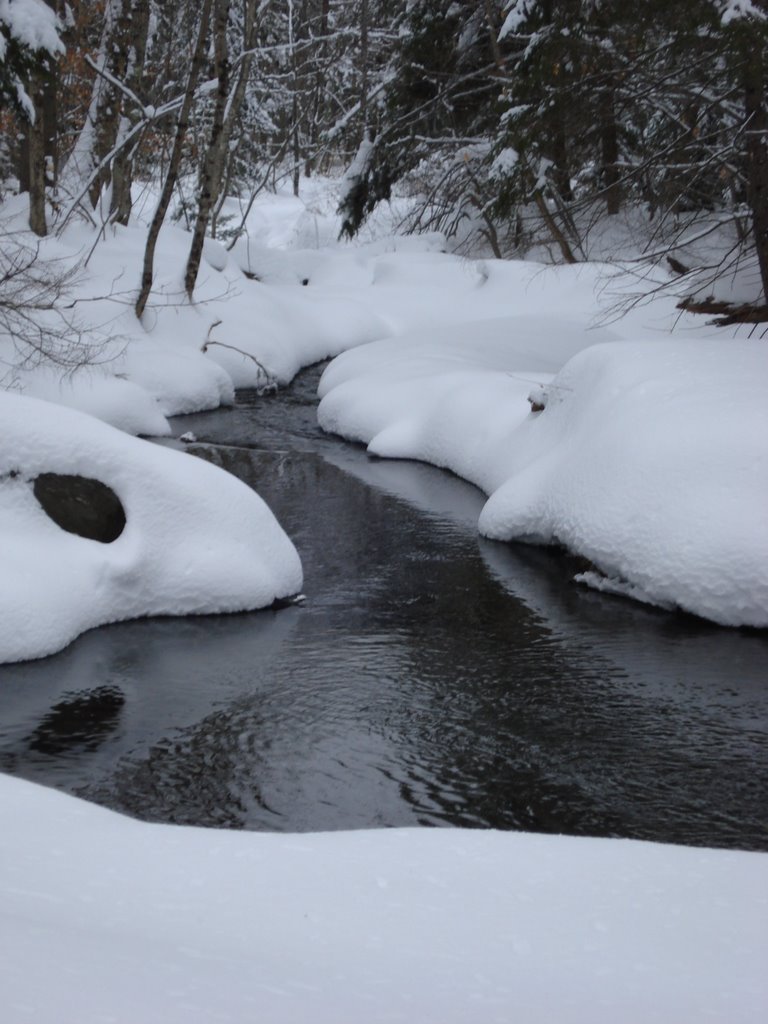 Snow and Water, Миддлбури
