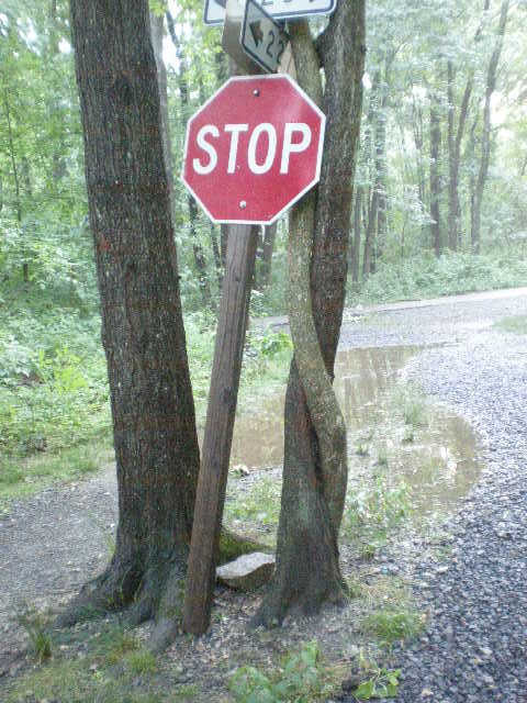Misplaced Stop Sign, Аннандейл