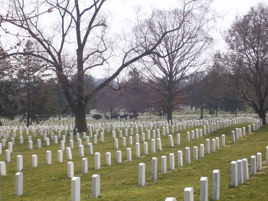 Arlington Cemetery Funeral Carriage, Арлингтон