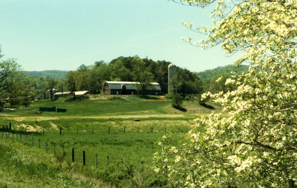 Blue Ridge Farm, Блу-Ридж