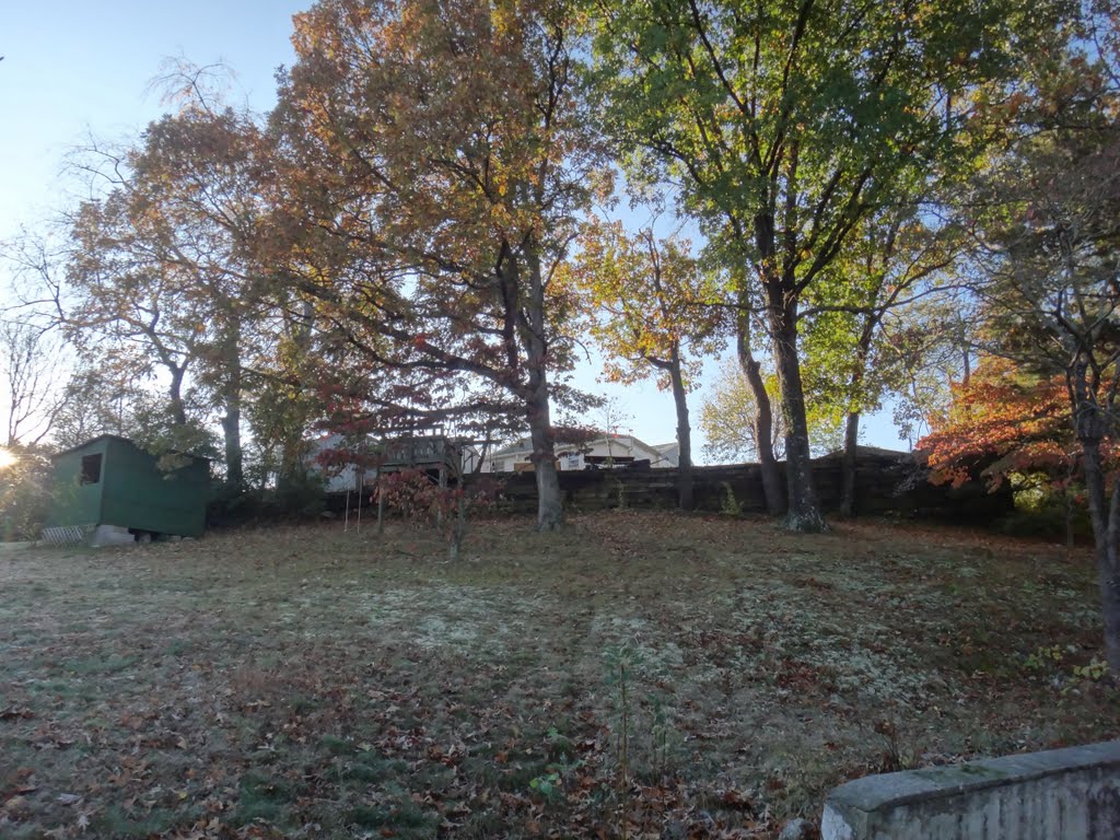 Backyard frost morning, Винтон