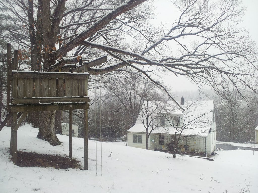 backyard under snow, Винтон