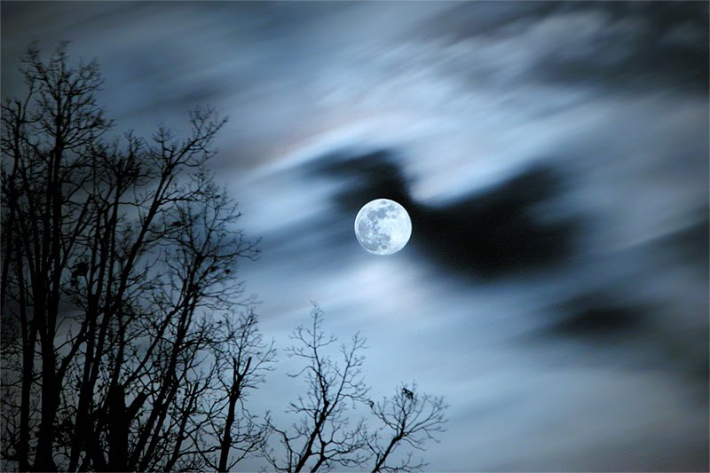 Wolf Moon One of my favorite moon shots features the January full moon. Know to Native Americans as the Wolf Moon, captured here as clouds stream by in the winter sky.  http://www.flickr.com/photos/skynoir/3101174846/, Глен-Аллен