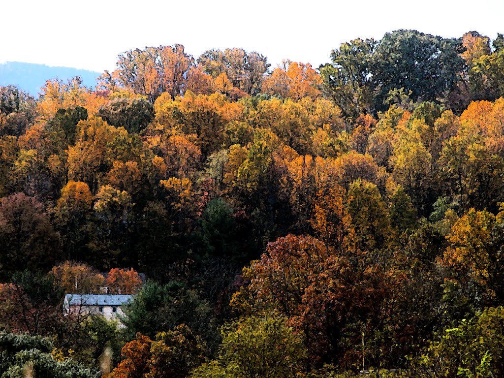 Fall Foliage, Кейв-Спринг