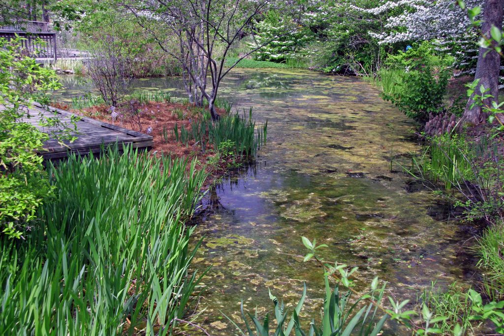 Monet Garden at Lewis Ginter, Лейксайд