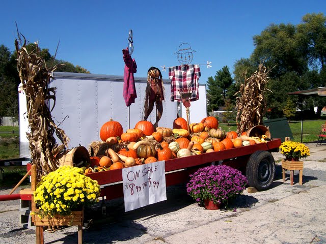 Fall Harvest Wagon, Luray, VA; Oct. 2011, Лурэй