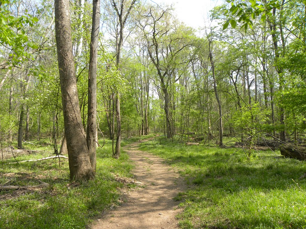 Inviting path, Манассас-Парк