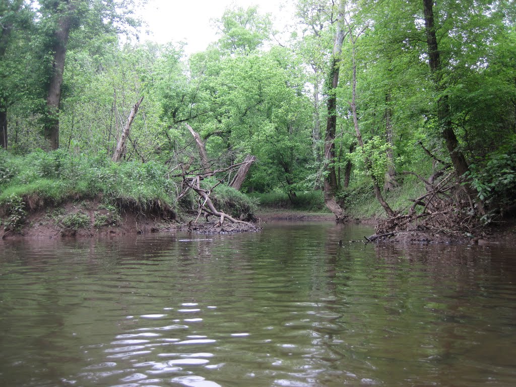 the mouth of Leland creek, Манассас-Парк